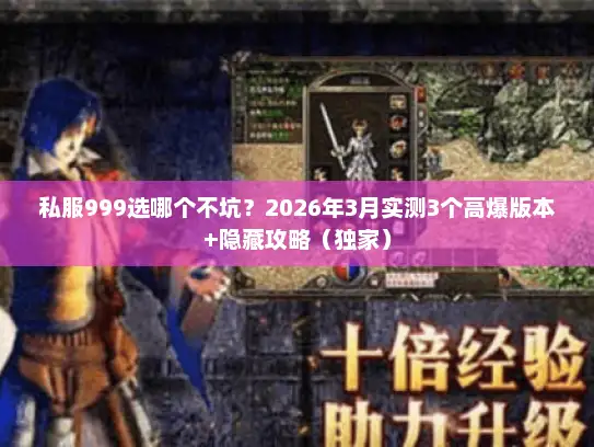 私服999选哪个不坑？2026年3月实测3个高爆版本+隐藏攻略（独家）