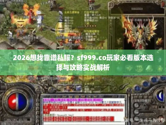 2026想找靠谱私服？sf999.co玩家必看版本选择与攻略实战解析