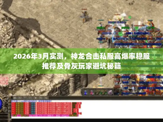 2026年3月实测，神龙合击私服高爆率稳服推荐及骨灰玩家避坑秘籍