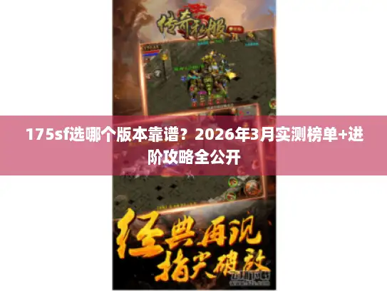 175sf选哪个版本靠谱？2026年3月实测榜单+进阶攻略全公开