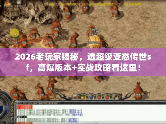 2026老玩家揭秘，选超级变态传世sf，高爆版本+实战攻略看这里！