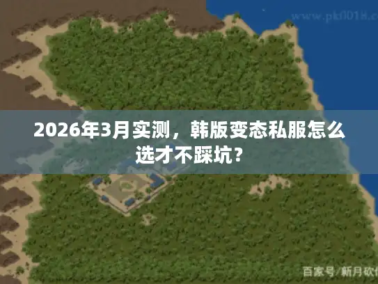 2026年3月实测，韩版变态私服怎么选才不踩坑？