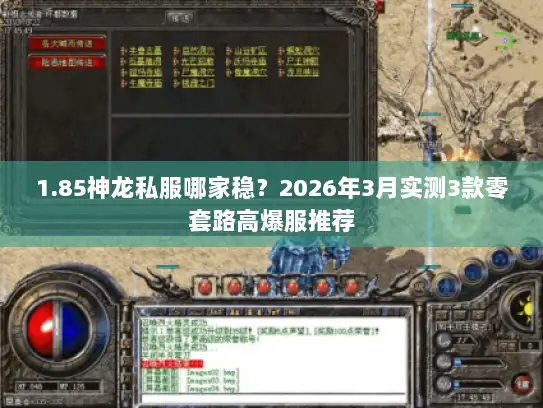 1.85神龙私服哪家稳？2026年3月实测3款零套路高爆服推荐