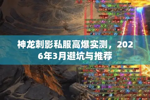 神龙刺影私服高爆实测，2026年3月避坑与推荐