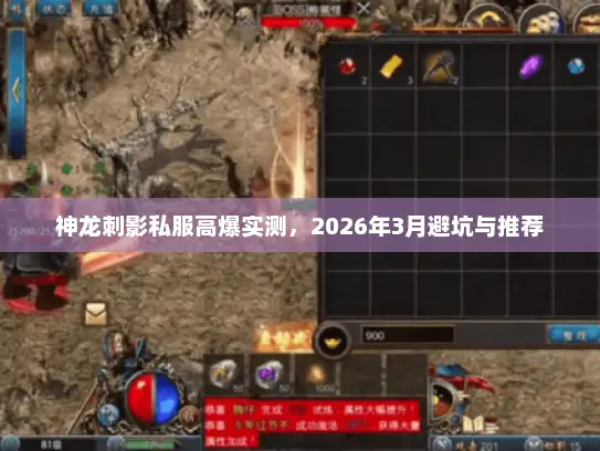 神龙刺影私服高爆实测，2026年3月避坑与推荐