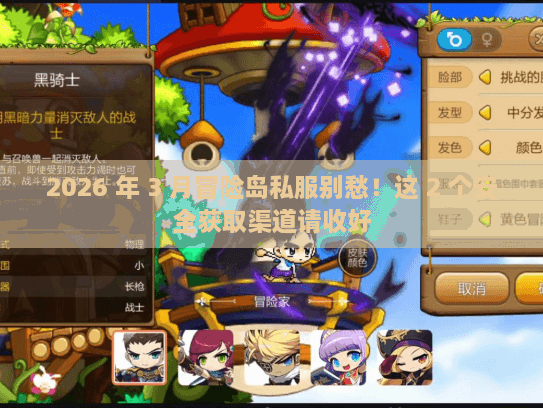 2026 年 3 月冒险岛私服别愁！这 2 个安全获取渠道请收好