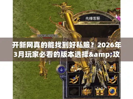 开新网真的能找到好私服？2026年3月玩家必看的版本选择&攻略秘籍