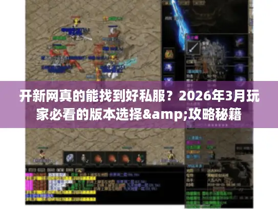 开新网真的能找到好私服？2026年3月玩家必看的版本选择&攻略秘籍