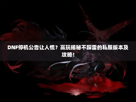 DNF停机公告让人慌？高玩揭秘不踩雷的私服版本及攻略！