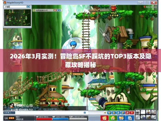2026年3月实测！冒险岛SF不踩坑的TOP3版本及隐藏攻略揭秘