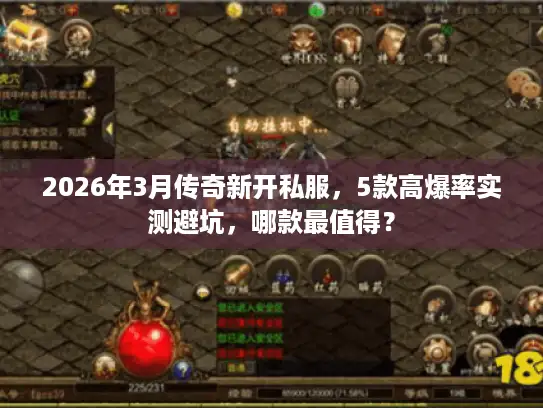 2026年3月传奇新开私服，5款高爆率实测避坑，哪款最值得？