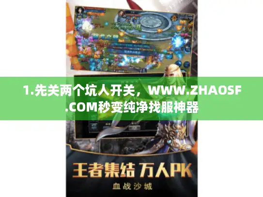 1.先关两个坑人开关，WWW.ZHAOSF.COM秒变纯净找服神器