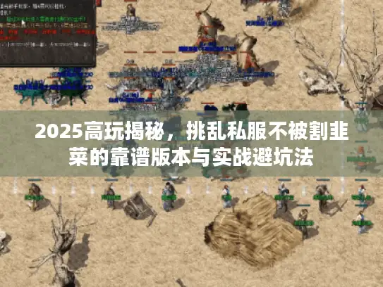 2025高玩揭秘，挑乱私服不被割韭菜的靠谱版本与实战避坑法