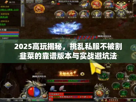 2025高玩揭秘，挑乱私服不被割韭菜的靠谱版本与实战避坑法