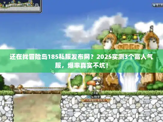 还在找冒险岛185私服发布网？2025实测3个高人气服，爆率真实不坑！