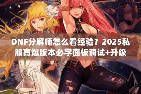 DNF分解师怎么看经验？2025私服高爆版本必学面板调试+升级技巧