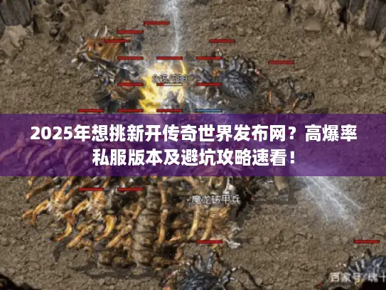 2025年想挑新开传奇世界发布网?高爆率私服版本及避坑攻略速看! 2025年想挑新开传奇世界发布网?高爆率私服版本及避坑攻略速看!