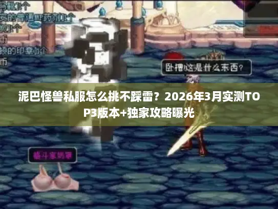 泥巴怪兽私服怎么挑不踩雷？2026年3月实测TOP3版本+独家攻略曝光