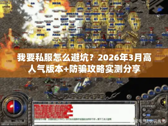 我要私服怎么避坑？2026年3月高人气版本+防骗攻略实测分享