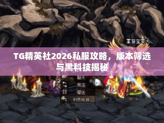 TG精英社2026私服攻略，版本筛选与黑科技揭秘