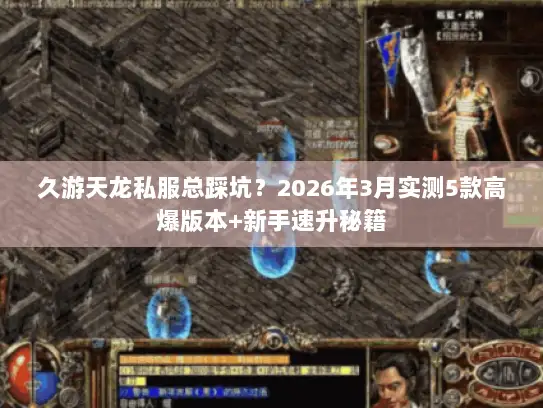 久游天龙私服总踩坑？2026年3月实测5款高爆版本+新手速升秘籍