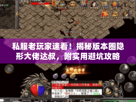 私服老玩家速看!揭秘版本圈隐形大佬达叔,附实用避坑攻略 私服老玩家速看!揭秘版本圈隐形大佬达叔,附实用避坑攻略