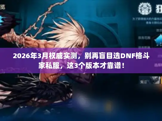 2026年3月权威实测，别再盲目选DNF格斗家私服，这3个版本才靠谱！