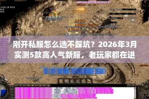 刚开私服怎么选不踩坑？2026年3月实测5款高人气新服，老玩家都在进！