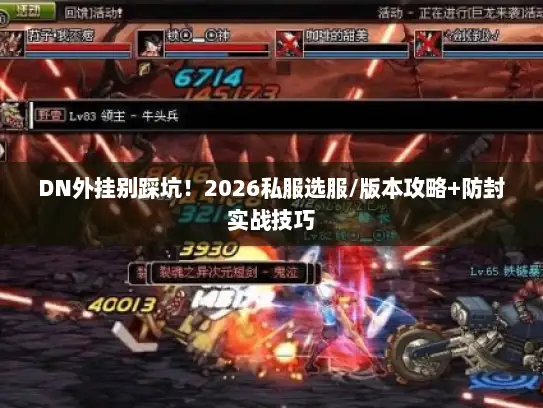 DN外挂别踩坑！2026私服选服/版本攻略+防封实战技巧