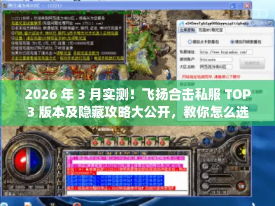 2026 年 3 月实测！飞扬合击私服 TOP3 版本及隐藏攻略大公开，教你怎么选