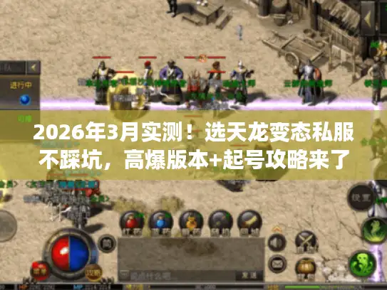 2026年3月实测！选天龙变态私服不踩坑，高爆版本+起号攻略来了