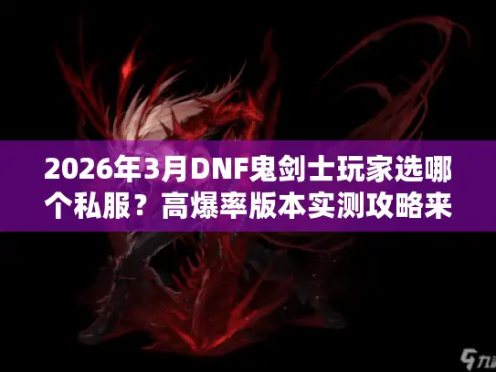 2026年3月DNF鬼剑士玩家选哪个私服？高爆率版本实测攻略来了