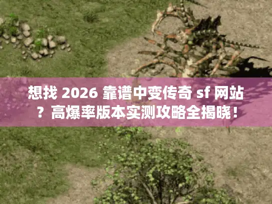 想找 2026 靠谱中变传奇 sf 网站？高爆率版本实测攻略全揭晓！