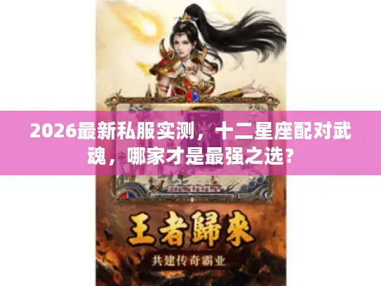2026最新私服实测，十二星座配对武魂，哪家才是最强之选？