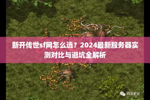新开传世sf网怎么选？2024最新服务器实测对比与避坑全解析
