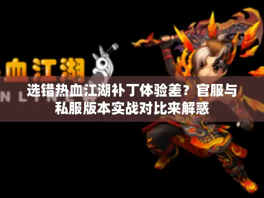 选错热血江湖补丁体验差？官服与私服版本实战对比来解惑