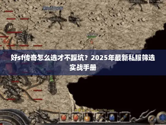好sf传奇怎么选才不踩坑？2025年最新私服筛选实战手册