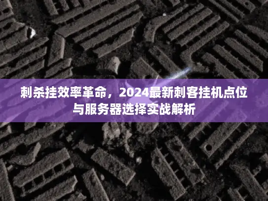 刺杀挂效率革命，2024最新刺客挂机点位与服务器选择实战解析