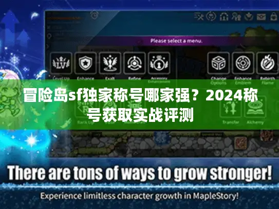 冒险岛sf独家称号哪家强？2024称号获取实战评测