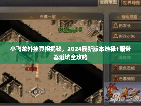 小飞龙外挂真相揭秘，2024最新版本选择+服务器避坑全攻略