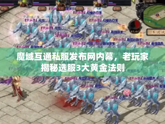 魔域互通私服发布网内幕，老玩家揭秘选服3大黄金法则