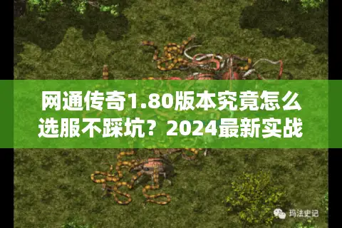 网通传奇1.80版本究竟怎么选服不踩坑？2024最新实战避坑手册