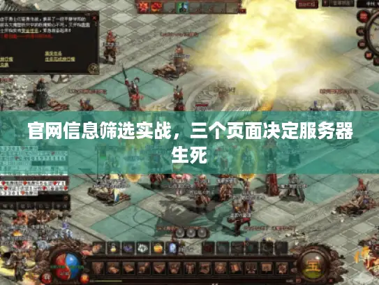 官网信息筛选实战，三个页面决定服务器生死