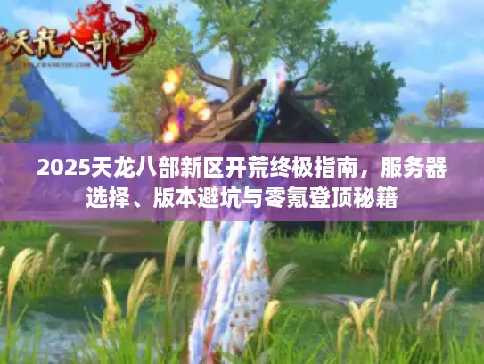 2025天龙八部新区开荒终极指南，服务器选择、版本避坑与零氪登顶秘籍