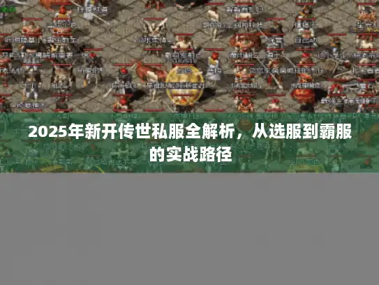 2025年新开传世私服全解析，从选服到霸服的实战路径