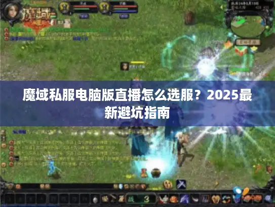 魔域私服电脑版直播怎么选服？2025最新避坑指南
