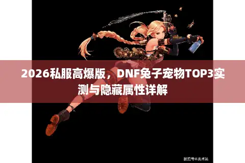 2026私服高爆版，DNF兔子宠物TOP3实测与隐藏属性详解
