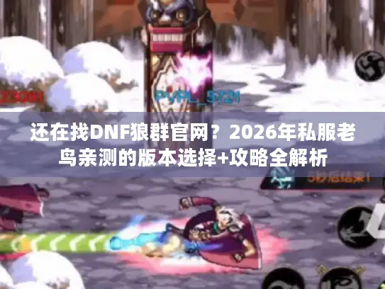 还在找DNF狼群官网？2026年私服老鸟亲测的版本选择+攻略全解析