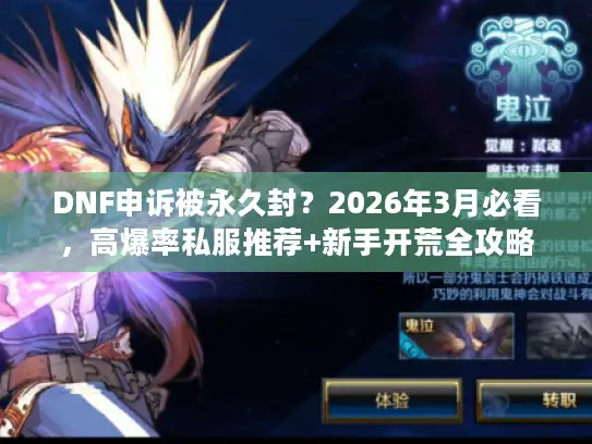 DNF申诉被永久封？2026年3月必看，高爆率私服推荐+新手开荒全攻略