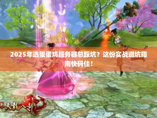 2025年选蛋蛋鸡服务器总踩坑？这份实战避坑指南快码住！
